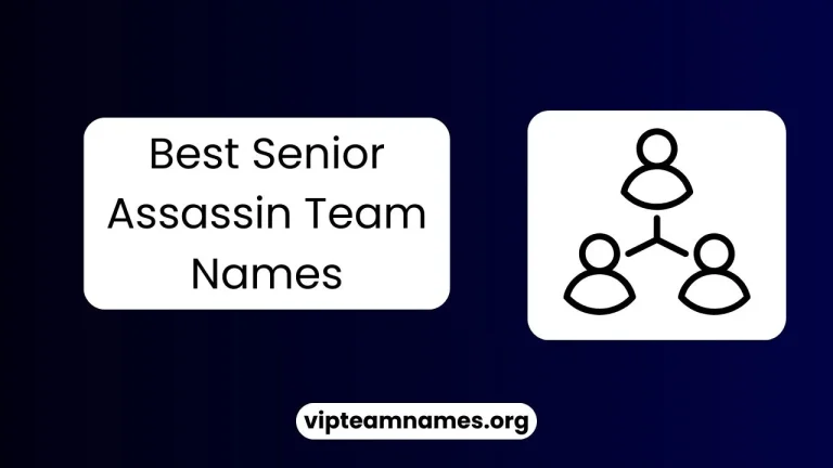 Best Senior Assassin Team Names (Funny, good, cool) 2025  