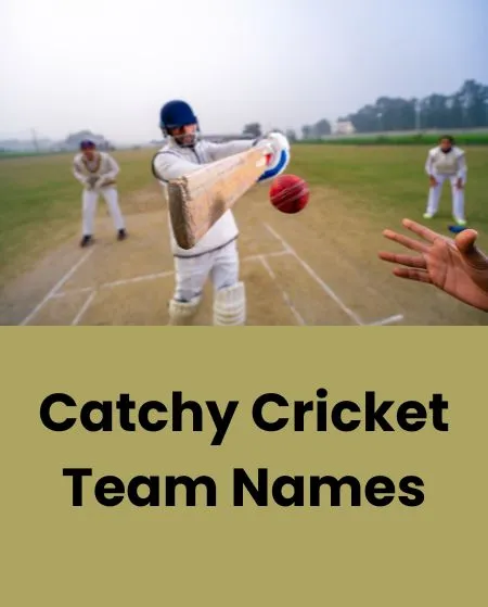 Catchy Cricket Team Names