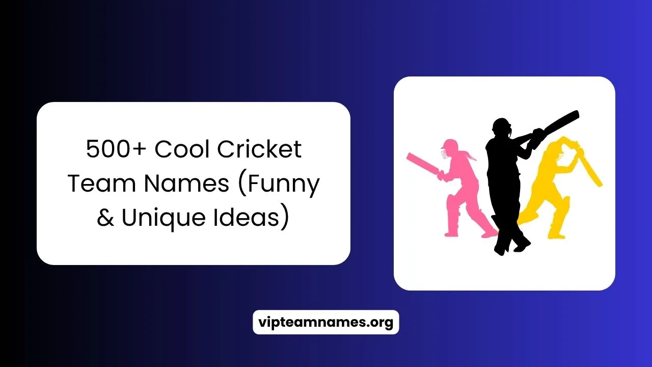 Cricket Team Names (Funny & Unique Ideas) (1)
