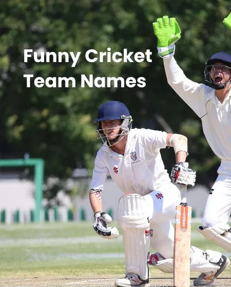 Funny Cricket Team Names